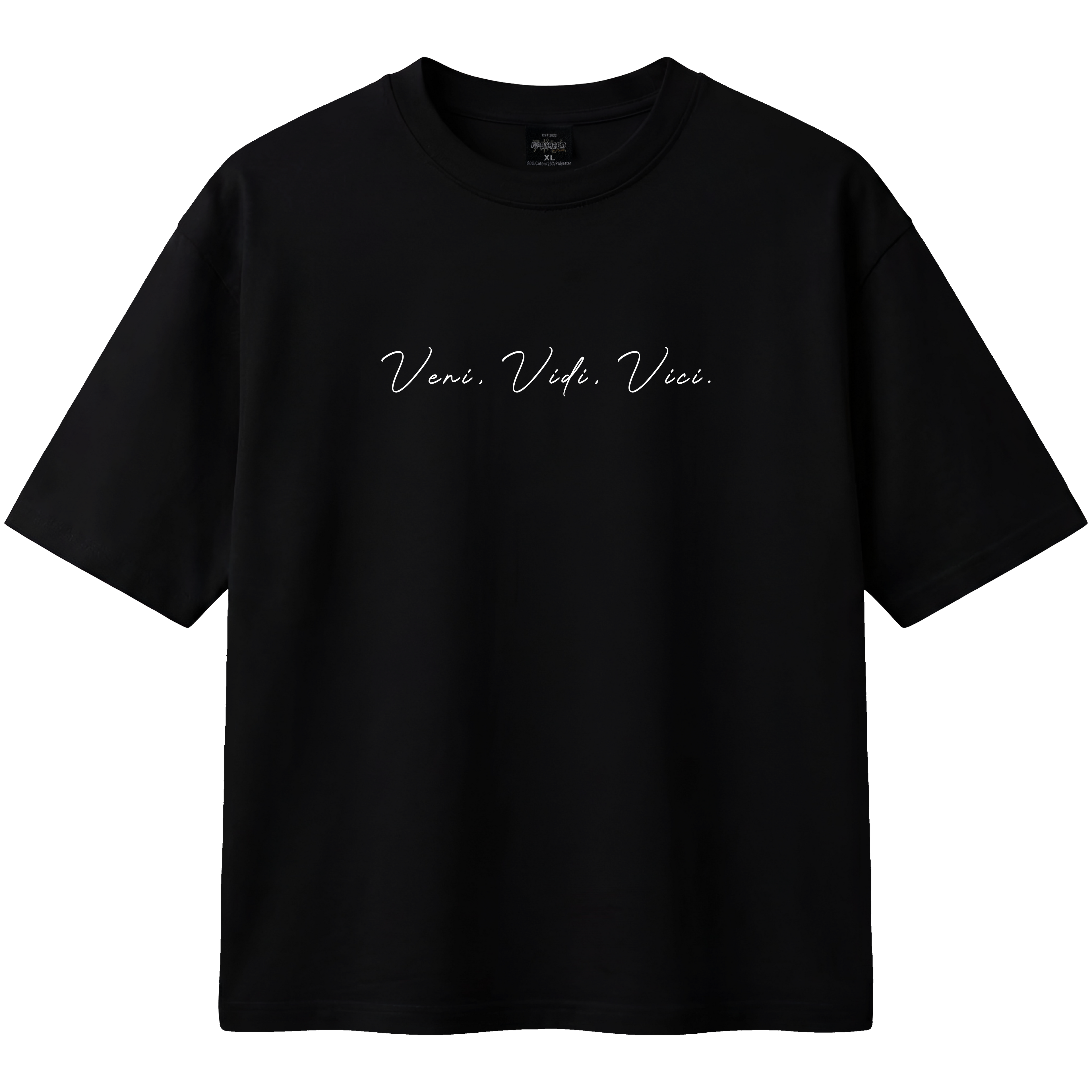 VENI VIDI VICI - JULIUS CAESAR TEE