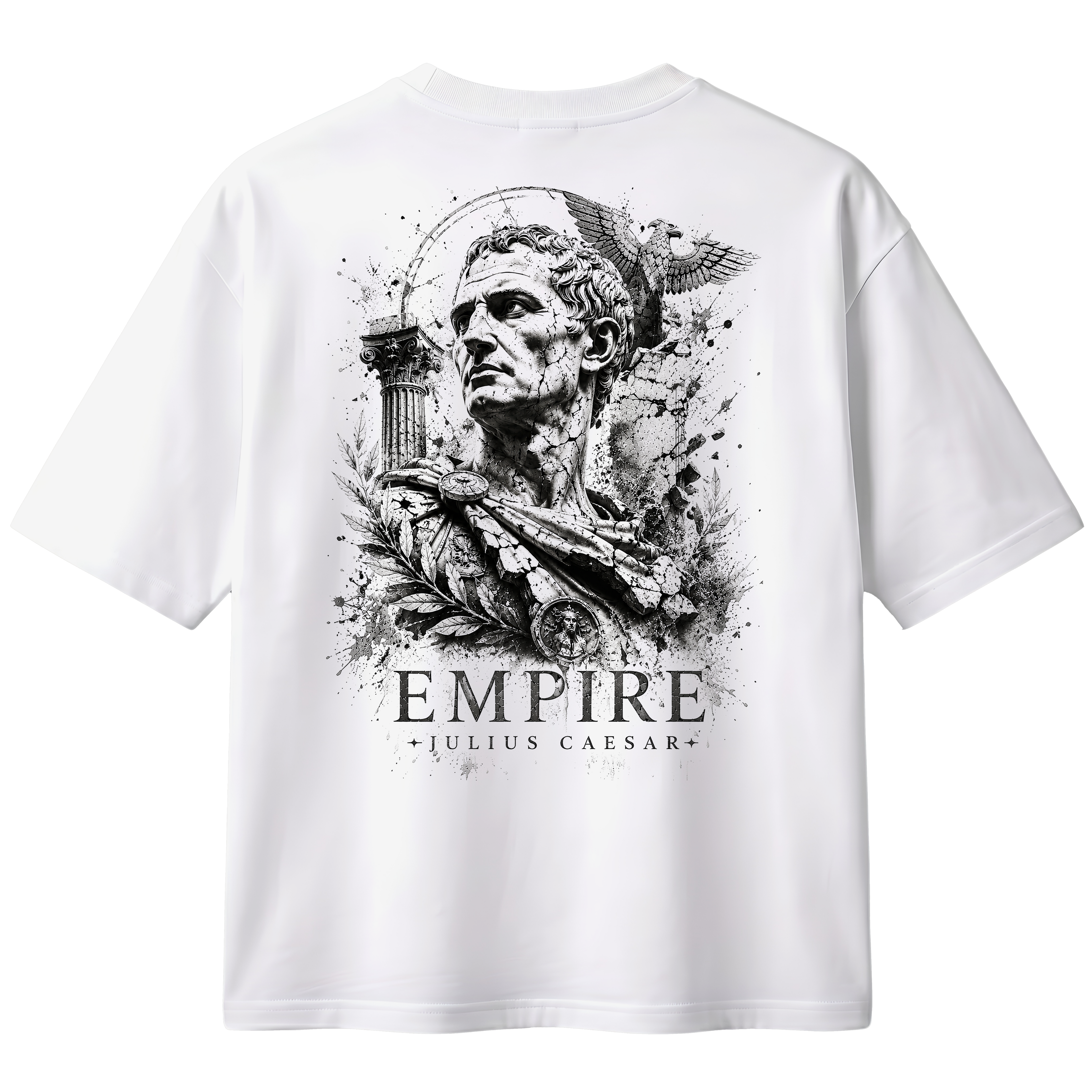 VENI VIDI VICI - JULIUS CAESAR TEE