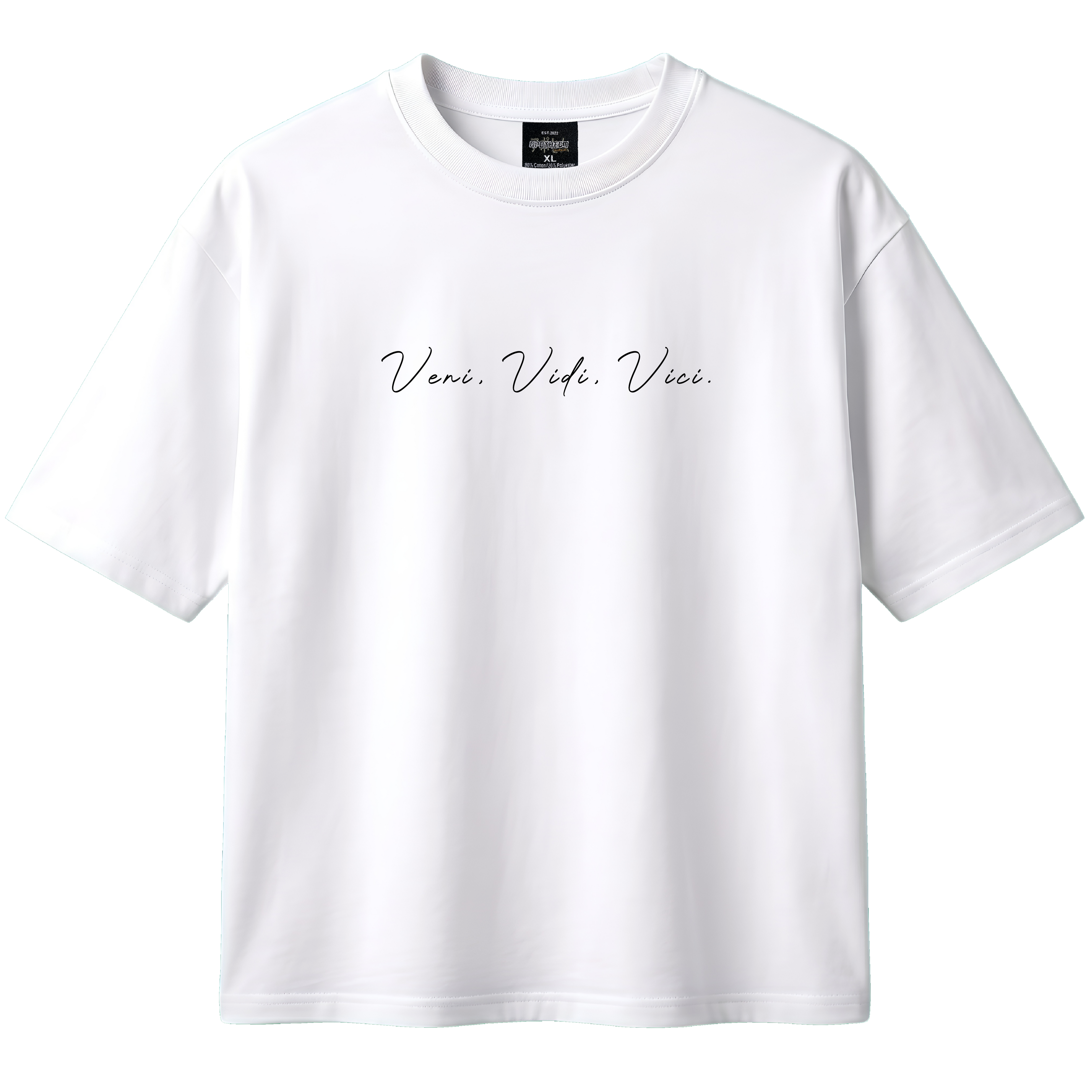 VENI VIDI VICI - JULIUS CAESAR TEE